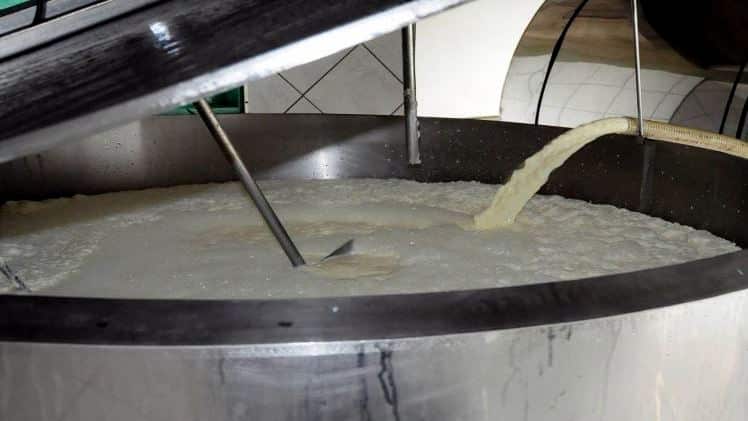 Epagri promove VI Seminário Regional de Produção Leiteira 1 Epagri promove VI Seminário Regional de Produção Leiteira