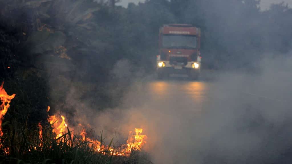 Bombeiros eliminam focos de incêndio em vegetação no Morro do Caravaggio