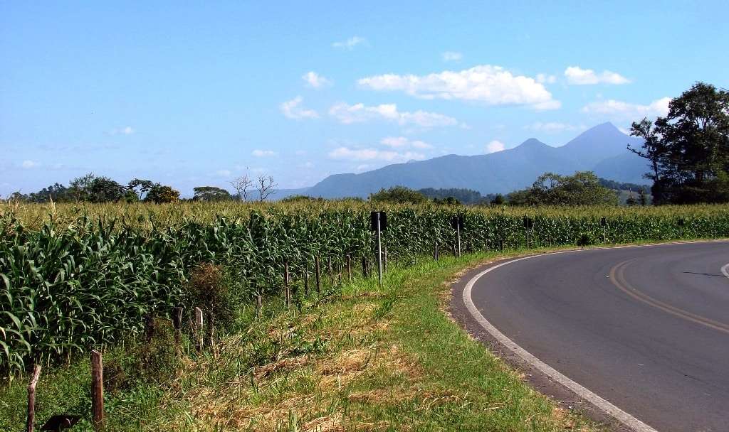 Há rumores que foi descoberto pela polícia quem escrevia os textos do polêmico Julião Petruchio na internet 3 Depois do início do arroz  pré-germinado  em nosso município há décadas,  a paisagem do interior mudou radicalmente mas aqui na cidade há uma bela roça de milho do amigo Titi Ghislandi e a nossa polenta está garantida.