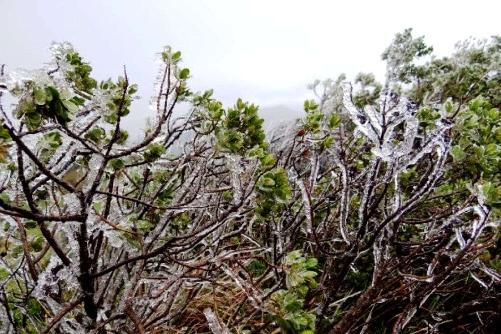 Frio chega a Santa Catarina com força total, e sensação térmica atinge -15°C na Serra