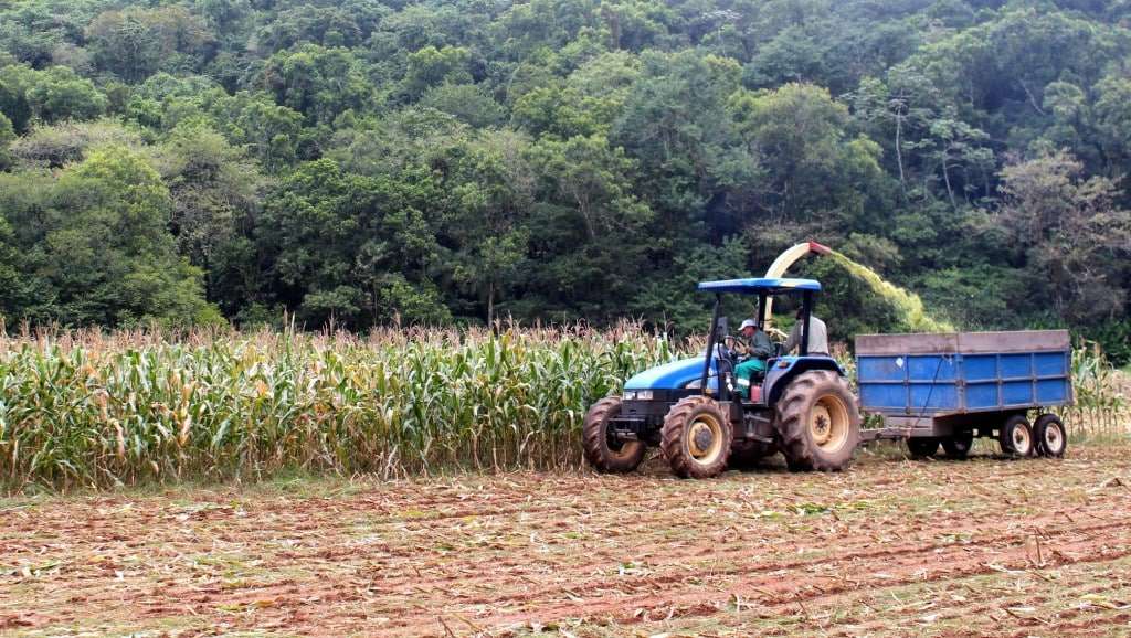 Porteira Adentro auxilia no aumento da produção pecuária