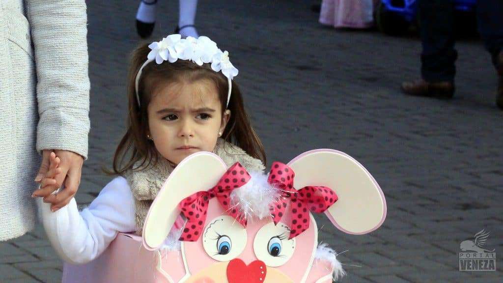 Veja as fotos do desfile das Famílias 2016