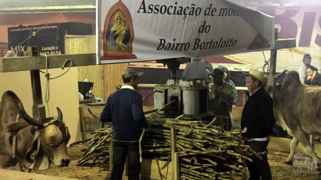 Confira as fotos da abertura da Festa da Gastronomia 2016
