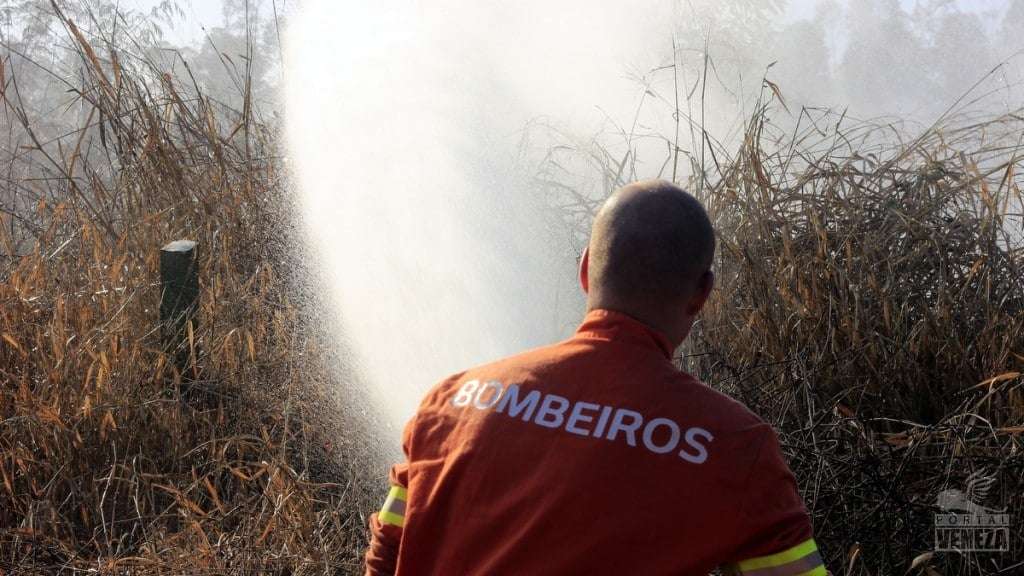 Bombeiros combatem fogo em vegetação no limite entre Nova Veneza e Criciúma