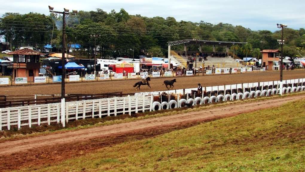A coligação PP-PMDB-PT reuniu na segunda-feira um grupo de mulheres... 4 O início do rodeio na sexta-feira. O evento reuniu um bom público, mas o tempo chuvoso atrapalhou.