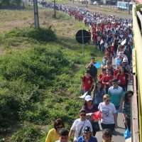 Caminhada encerra mês de oração pelas vocações na Diocese de Criciúma