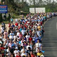Caminhada encerra mês de oração pelas vocações na Diocese de Criciúma