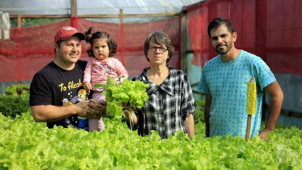 Família do Caravaggio é pioneira na produção de hortaliças hidropônicas para venda em Nova Veneza