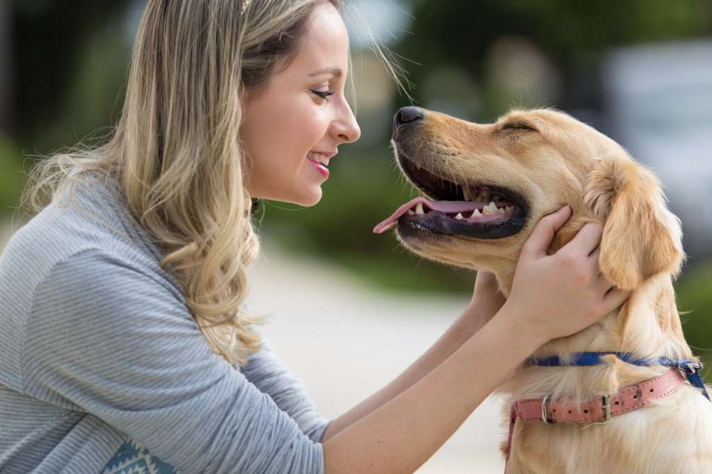 Fim do relacionamento: com quem fica o animal de estimação?