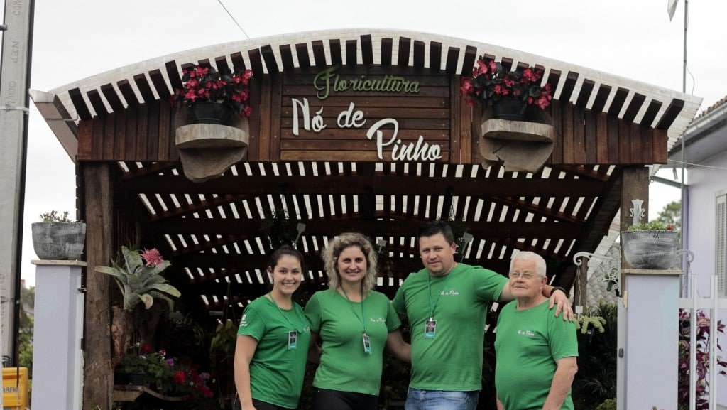 Floricultura Nó de Pinho aposta em diversidades de flores e plantas para melhorar a qualidade de vida das pessoas