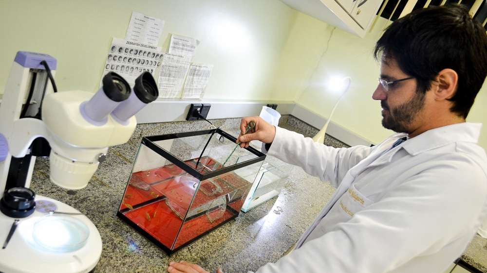 Unesc é a melhor universidade catarinense não pública em pesquisa 3 Unesc é a melhor universidade catarinense não pública em pesquisa