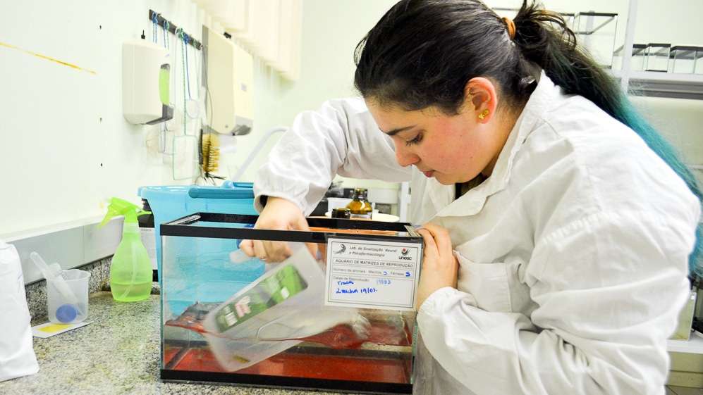 Unesc é a melhor universidade catarinense não pública em pesquisa 4 Unesc é a melhor universidade catarinense não pública em pesquisa