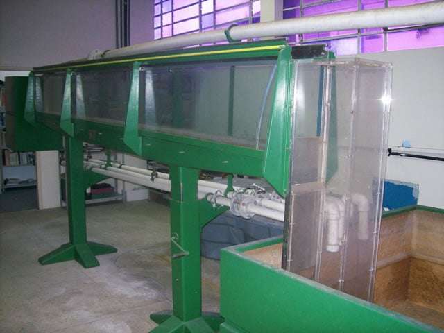 Governo do Estado promove leilão público em Criciúma 3 Governo do Estado promove leilão público em Criciúma