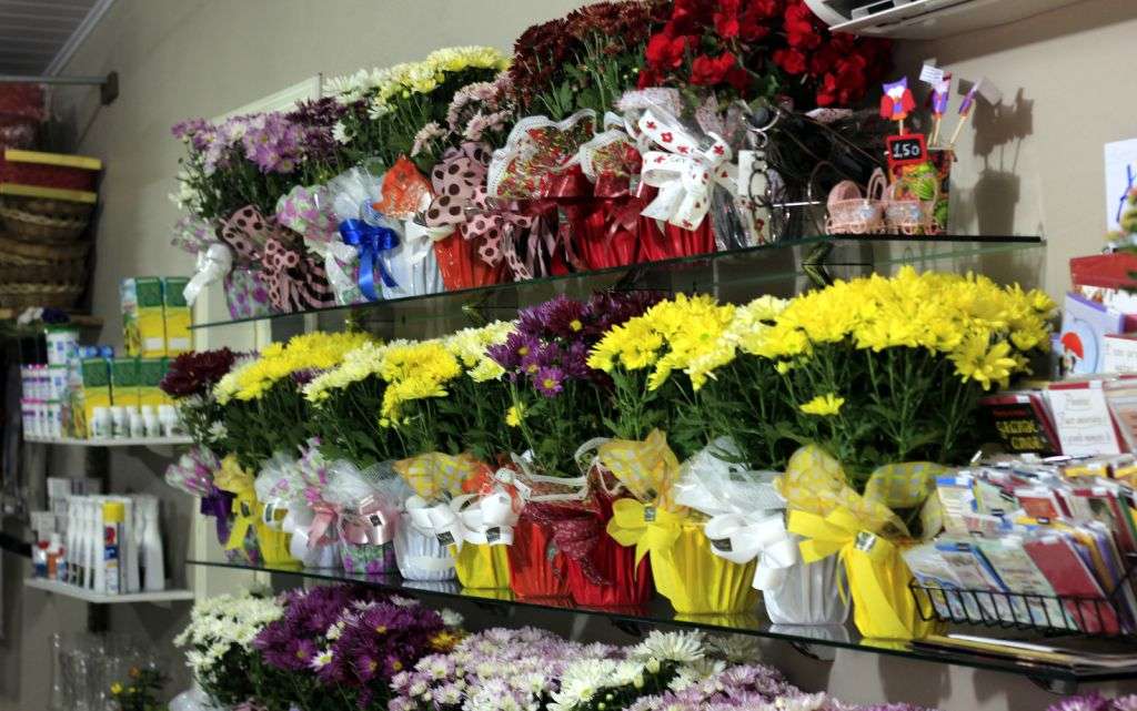 Floricultura Nó de Pinho adota embalagem contra o mosquito Aedes Aegypti para feriado de Finados 1 Floricultura Nó de Pinho adota embalagem contra o mosquito Aedes Aegypti para feriado de Finados