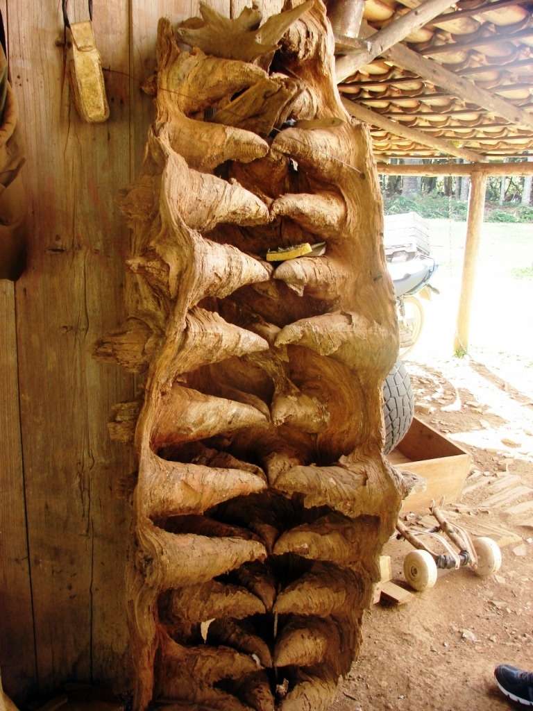 Especial: vida de tropeiro (Parte I) 3 pinos