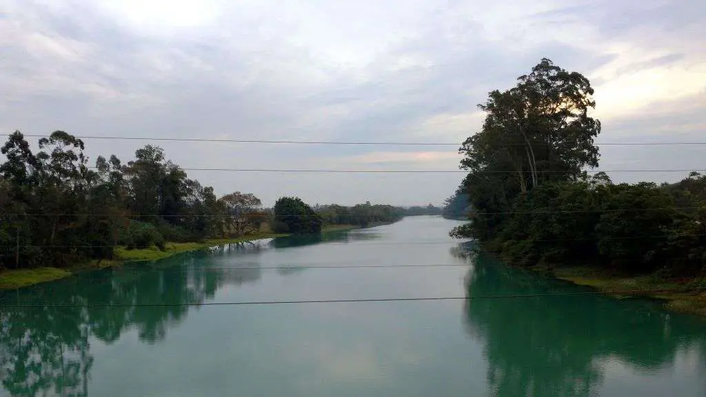 Comitê do Rio Araranguá sediará projeto piloto para outorga de água para irrigação na rizicultura