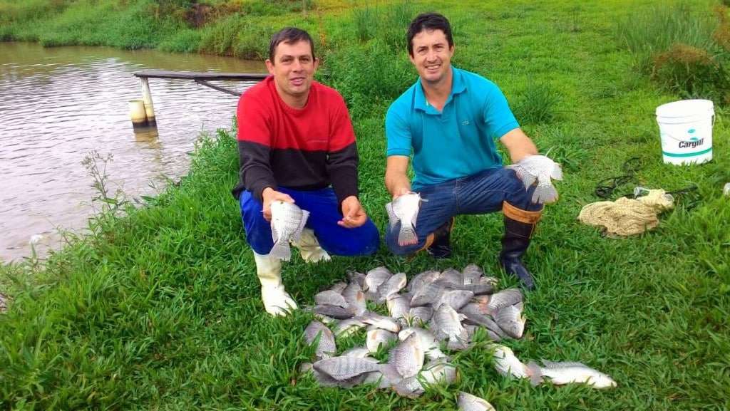 Piscicultura...  Laoro, Pèsse e schei 5 viola-peixe-mao