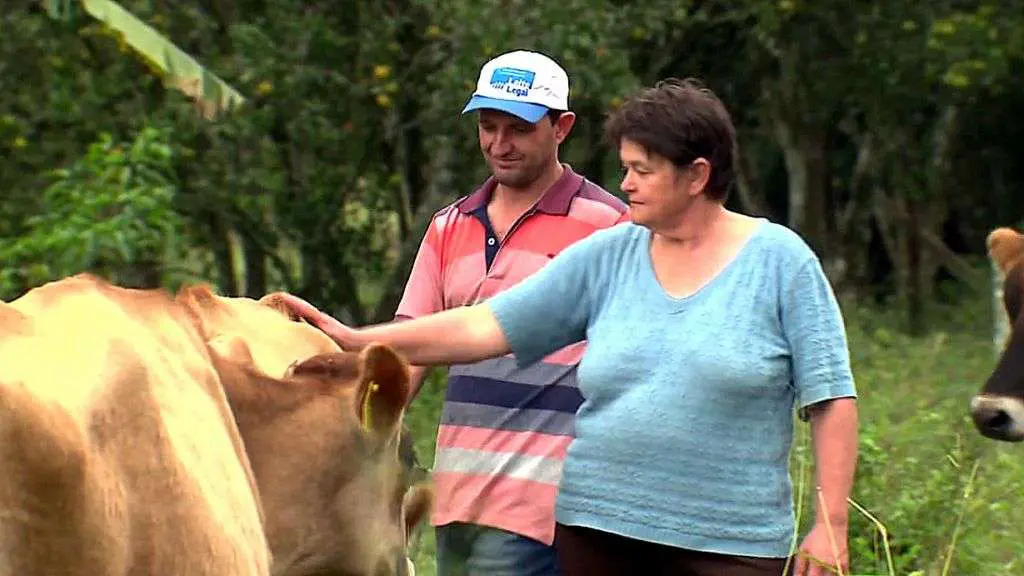 Agricultores de Nova Veneza são tema no Globo Rural ao adotarem homeopatia na criação de gado