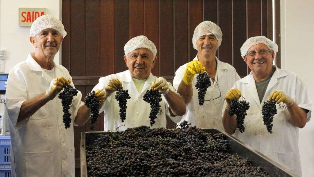 Quando completar 100 dias de governo, o prefeito Rogério Frigo vai apresentar as ações deste período 1 Quando completar 100 dias de governo, o prefeito Rogério Frigo vai apresentar as ações deste período