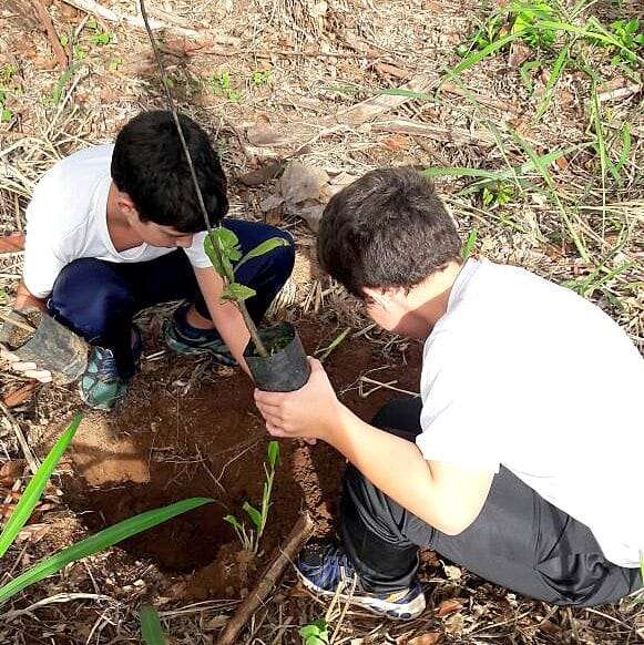 Plantio de mudas nativas marca o Dia Nacional de Conservação do Solo em Nova Veneza 3 Plantio de mudas nativas marca o Dia Nacional de Conservação do Solo em Nova Veneza