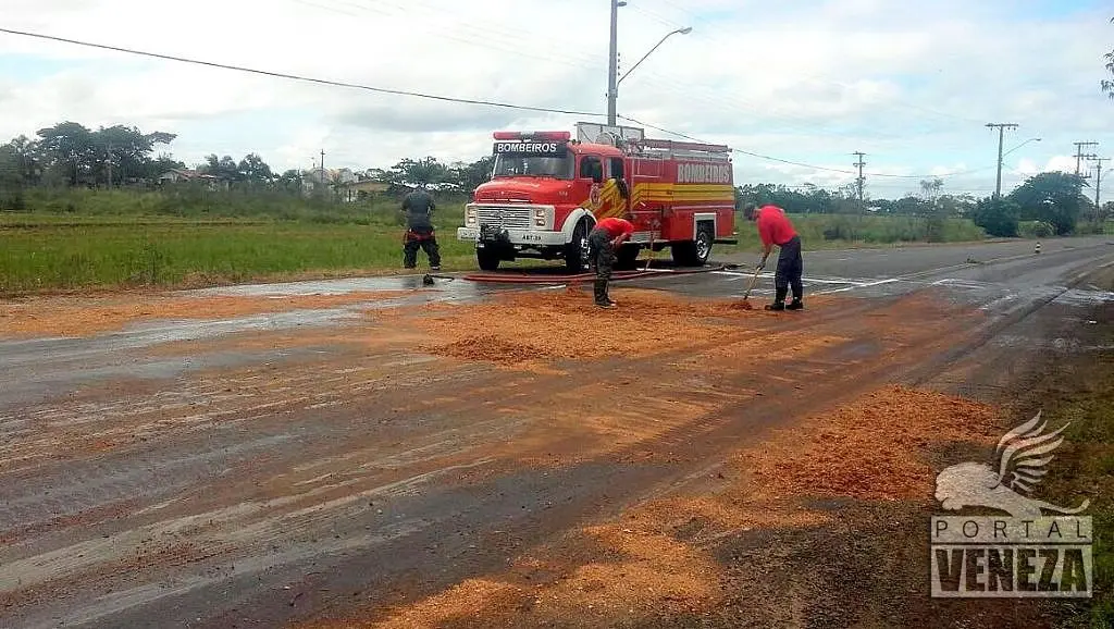 Resíduo de frigorífico de frangos provoca acidentes na SC-443 em São Bento Baixo