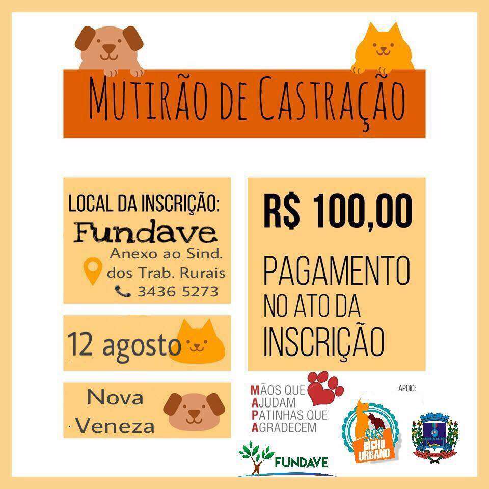 Nova Veneza realiza o 5º Mutirão de Castração 1 Nova Veneza realiza o 5º Mutirão de Castração