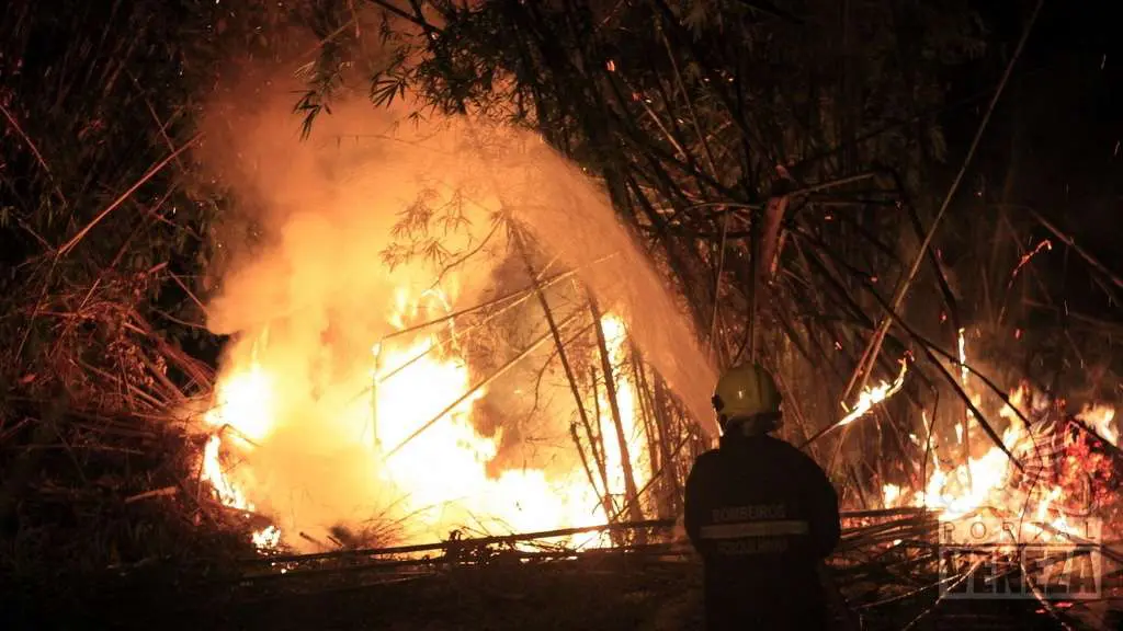 Bombeiros são acionados para conter fogo em vegetação no São Bento Baixo