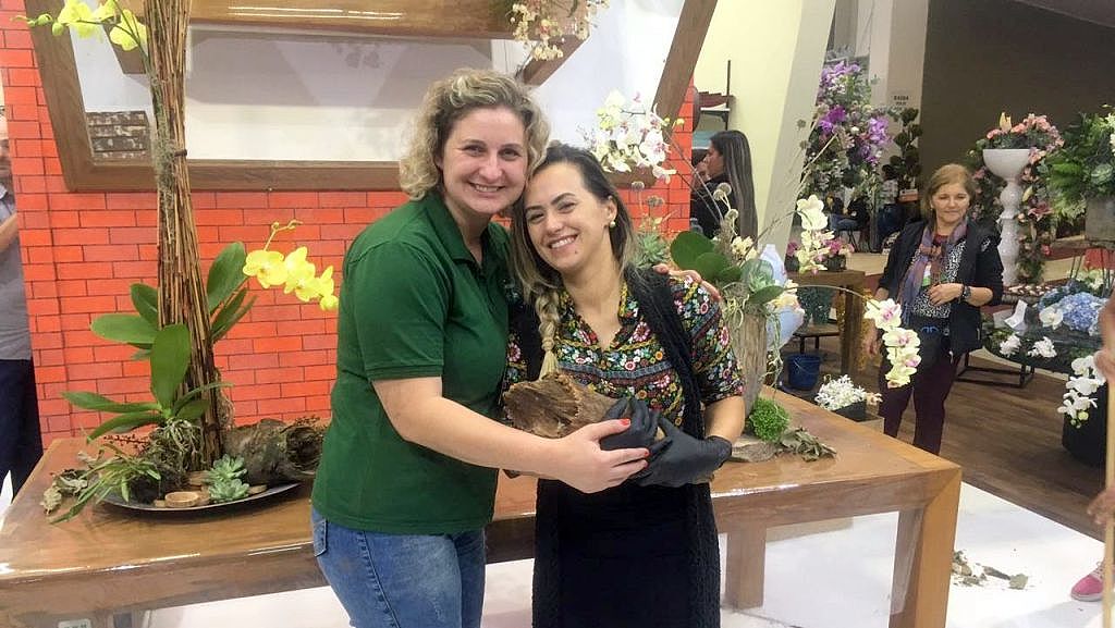 Nó de Pinho é tendência para decorações pelo Brasil