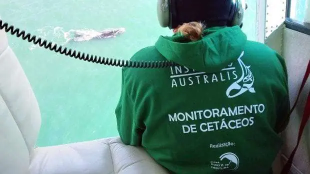 Porto de Imbituba inicia temporada 2017 de monitoramento das baleias francas