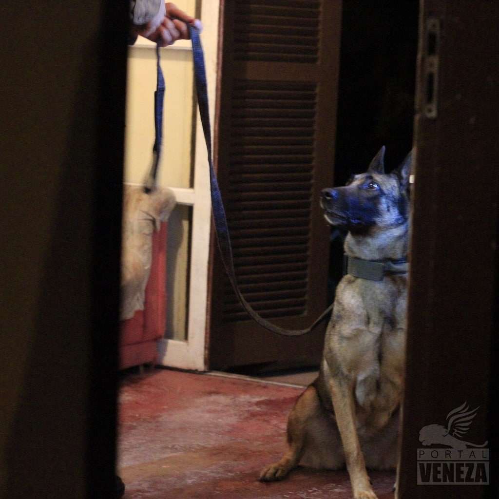 PM estoura ponto de tráfico de drogas no distrito de Caravaggio