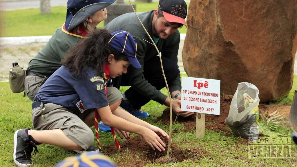 Grupo Escoteiro Dr. Cesare Tibaldeschi planta muda de Ipê na Praça Pietro Bortolotto