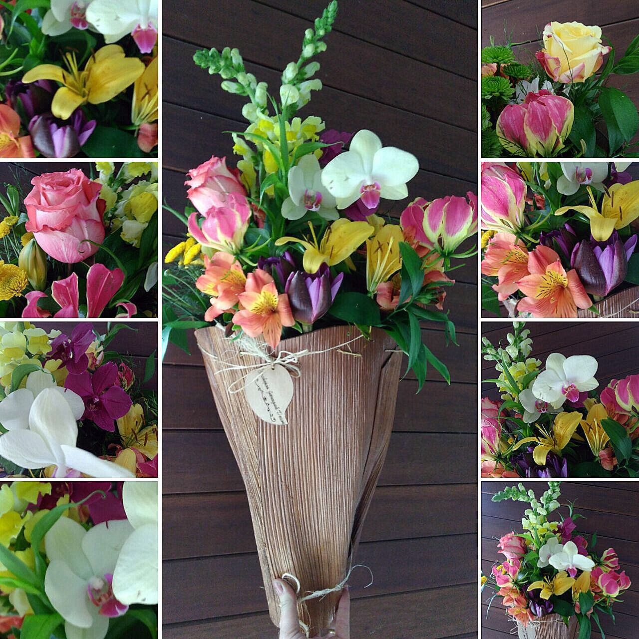 Com a chegada da primavera, o intensificar das cores das flores