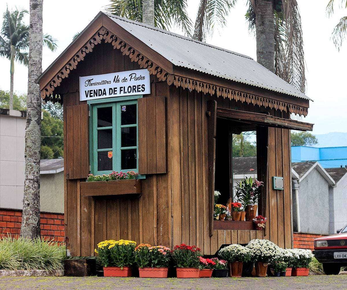 no-de-pinho-casa-nona-angelina