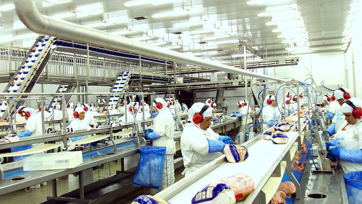 Governo catarinense reduz de 12% para 7% a alíquota de ICMS para carnes de aves e suínos