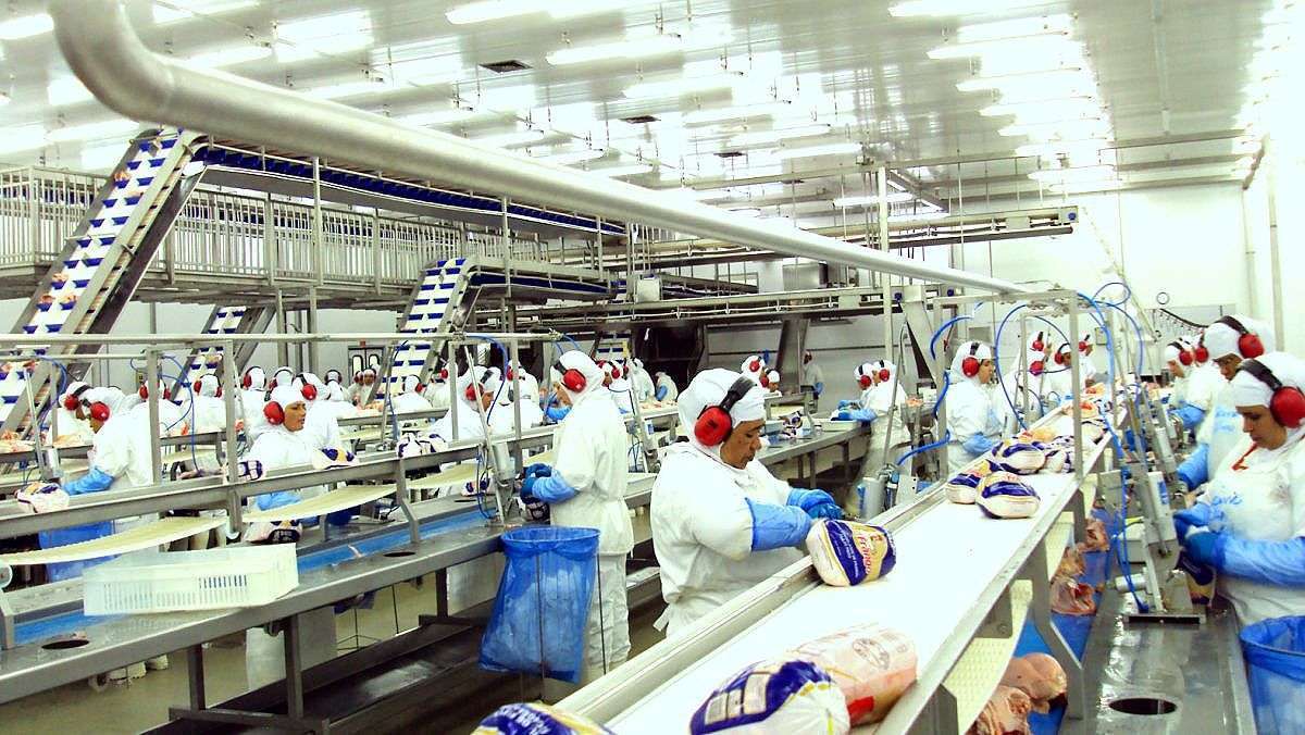 Governo catarinense reduz de 12% para 7% a alíquota de ICMS para carnes de aves e suínos 2 Governo catarinense reduz de 12% para 7% a alíquota de ICMS para carnes de aves e suínos