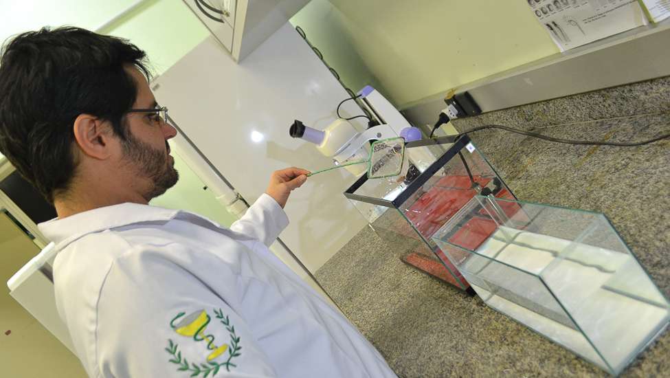 Unesc utiliza peixes em pesquisas científicas 4 DSC_0139