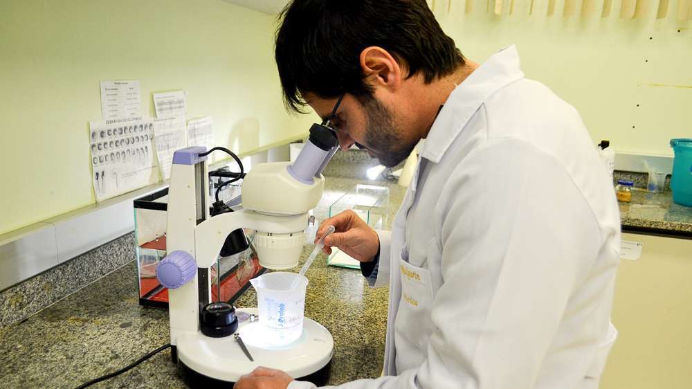 Unesc utiliza peixes em pesquisas científicas 2 DSC_0291