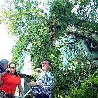 Possível tornado causa estragos em Nova Veneza