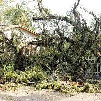 Possível tornado causa estragos em Nova Veneza