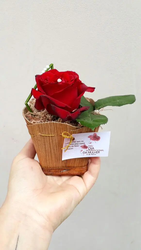 Floricultura Feito com Carinho - Houve desistência no dia 11. Quem tiver  interesse mandar mensagem no wats.(18)99645-7227 *somente para o curso.  Valor:R$140,00 com certificado Inicio: 19:00hs. Dracena.@analuiza.sanches