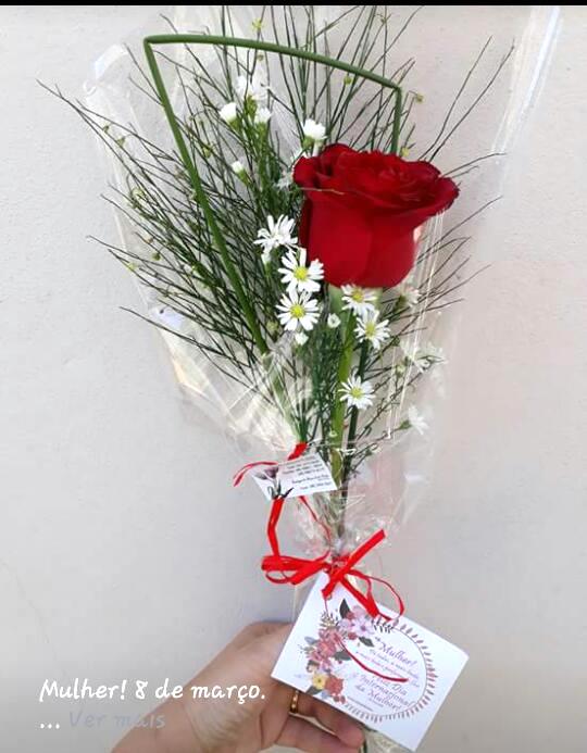 WhatsApp Image 2018-03-07 at 09.42.46