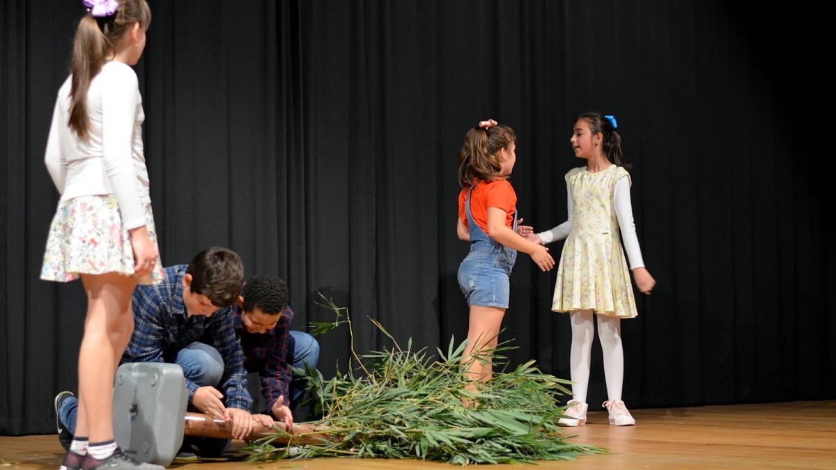 Semana do Meio Ambiente é marcada por Festival de Teatro relâmpago em Nova Veneza 11 DSC_0416