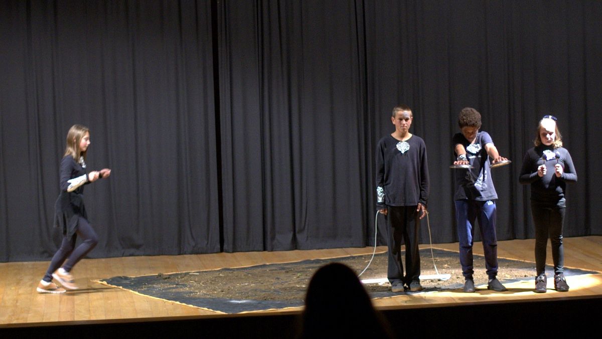 Semana do Meio Ambiente é marcada por Festival de Teatro relâmpago em Nova Veneza 7 DSC_0472.NEF