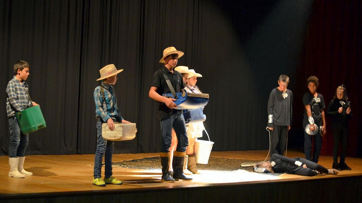 Semana do Meio Ambiente é marcada por Festival de Teatro relâmpago em Nova Veneza 8 DSC_0476