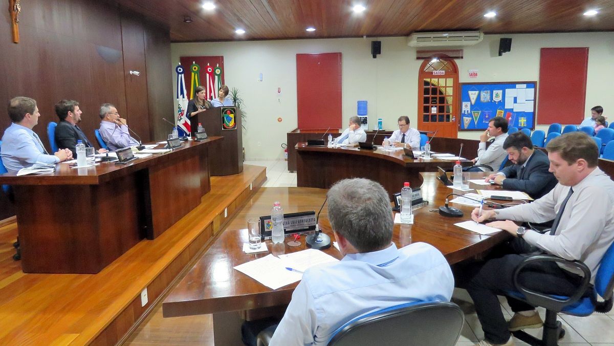 Câmara de Vereadores de Nova Veneza dedica moção de aplausos à autoras de livro que traz exemplos de empreendedorismo social 2 IMG_0258