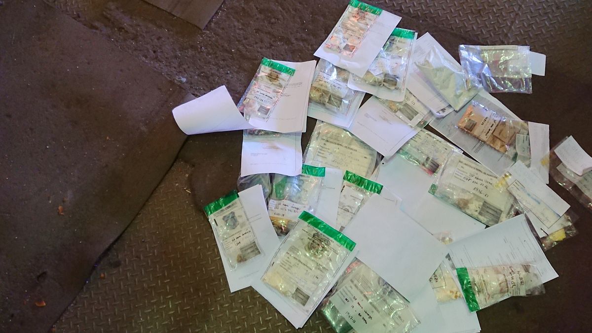 Drogas são incineradas pela Polícia Civil de Nova Veneza 1 DSC_0524