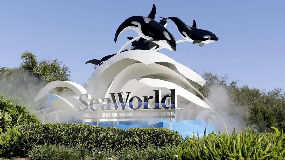 Uma experiência inesquecível no SeaWorld Orlando