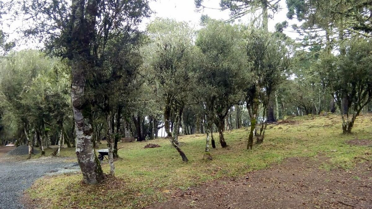 Pousada e camping recanto da natureza inaugura chalés e salão de festas 2 Pousada e camping recanto da natureza inaugura chalés e salão de festas