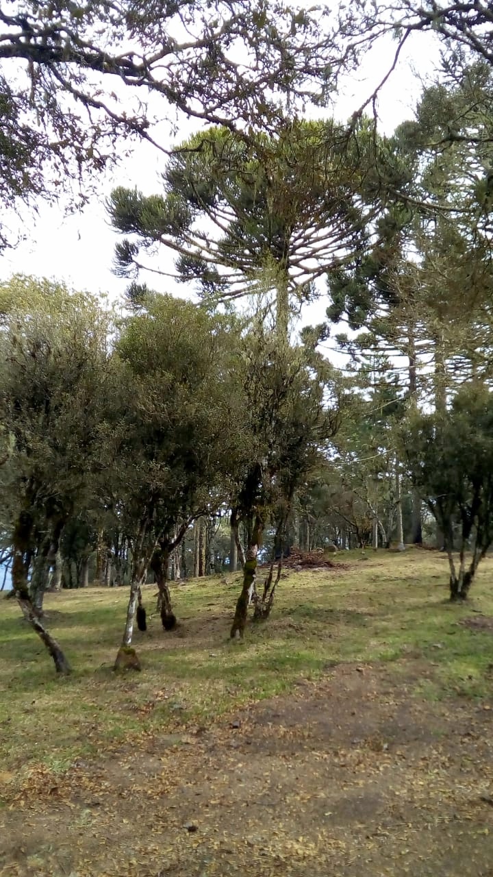 Pousada e camping recanto da natureza inaugura chalés e salão de festas 7 Pousada e camping recanto da natureza inaugura chalés e salão de festas
