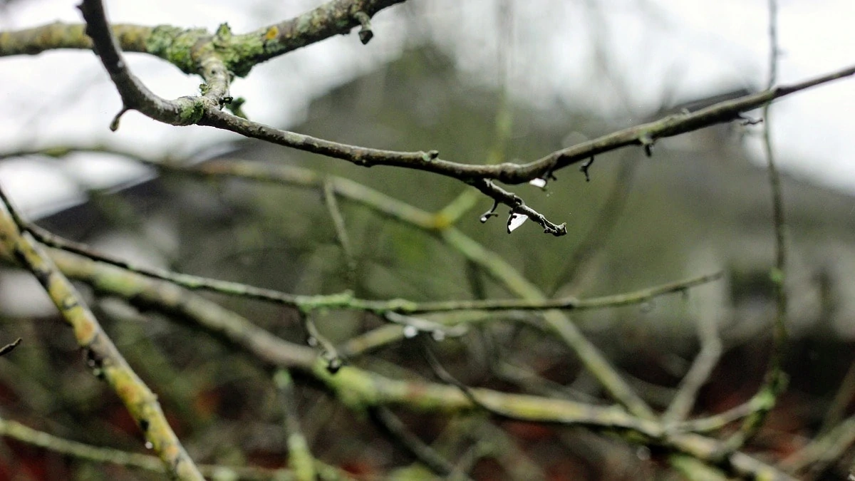 Previsão de muita chuva e granizo nesta quinta-feira